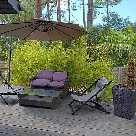 Villa Beach Surf Calm Forest Netflix Seignosse