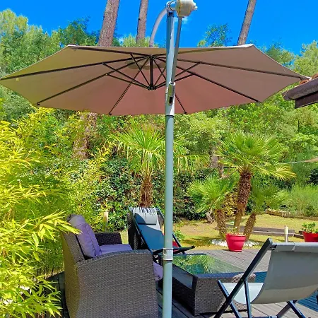 Beach Surf Calm Forest Netflix Villa *