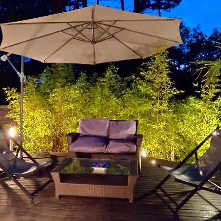 Beach Surf Calm Forest Netflix Villa