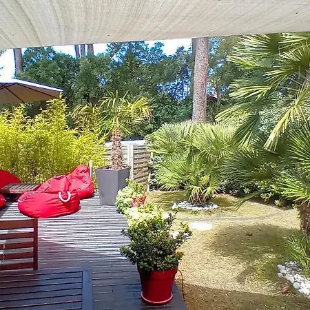 Beach Surf Calm Forest Netflix Villa Seignosse
