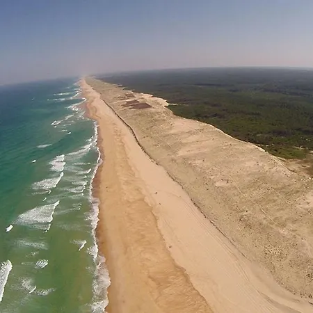 Beach Surf Calm Forest Netflix Villa